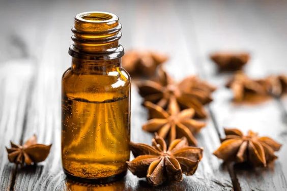 Essential Oils for Wellness and Relaxation